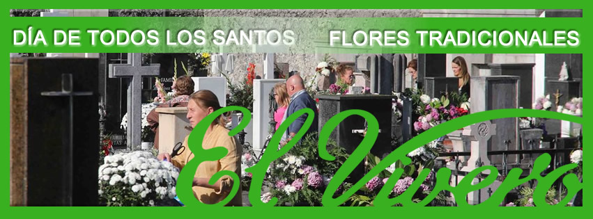 Lee más sobre el artículo El día de todos los Santos. Flores tradicionales.